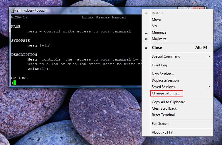 Right click on top of PutTTy window